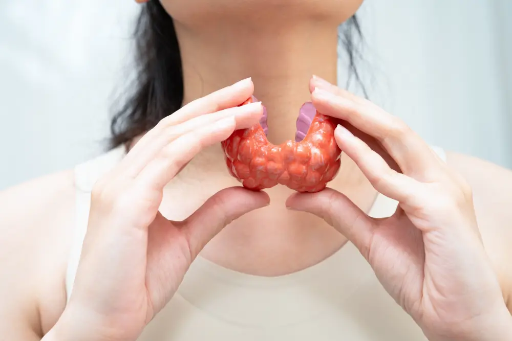 A person holding a thyroid model at her neck.
